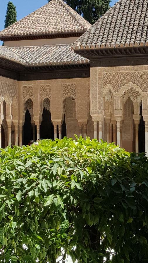 דירות גרנדה Mirador Alhambra - 2 Private Terraces - Wifi - מראה חיצוני תמונה